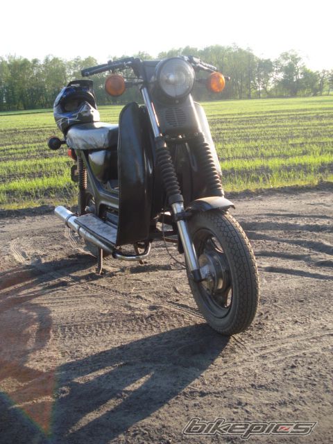 Photo 1657646
