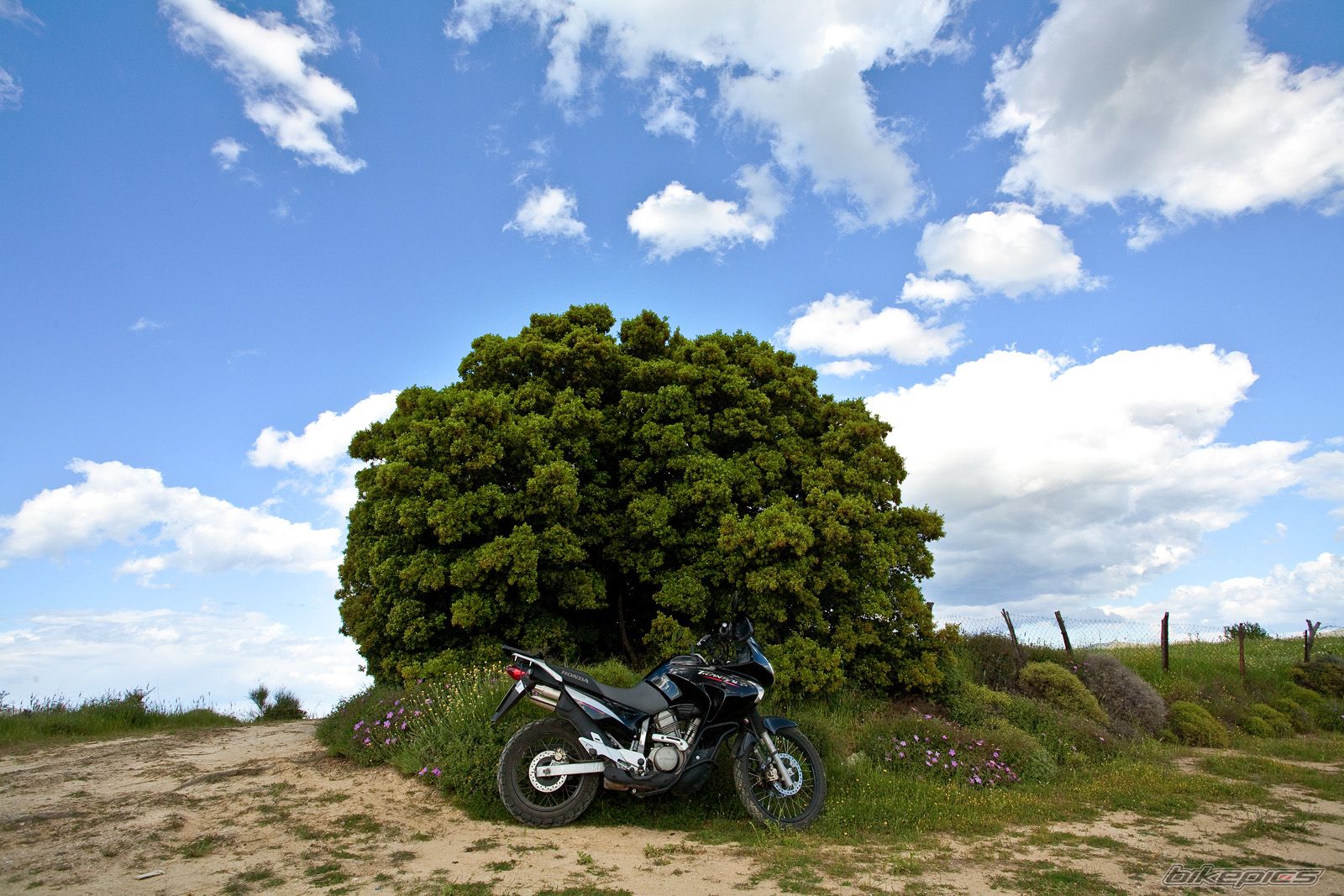 Bike Photo 1657666