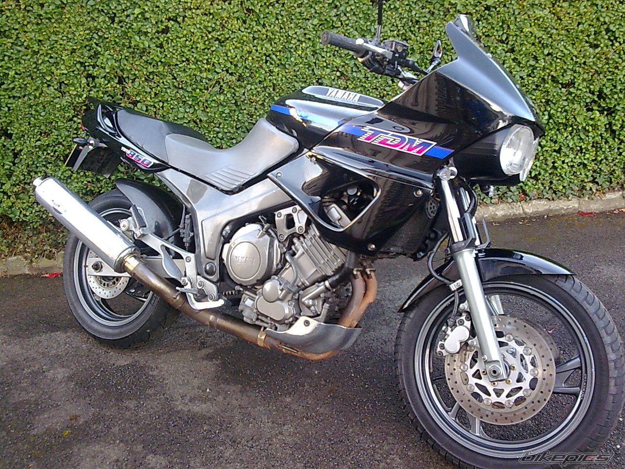 Photo 1657669