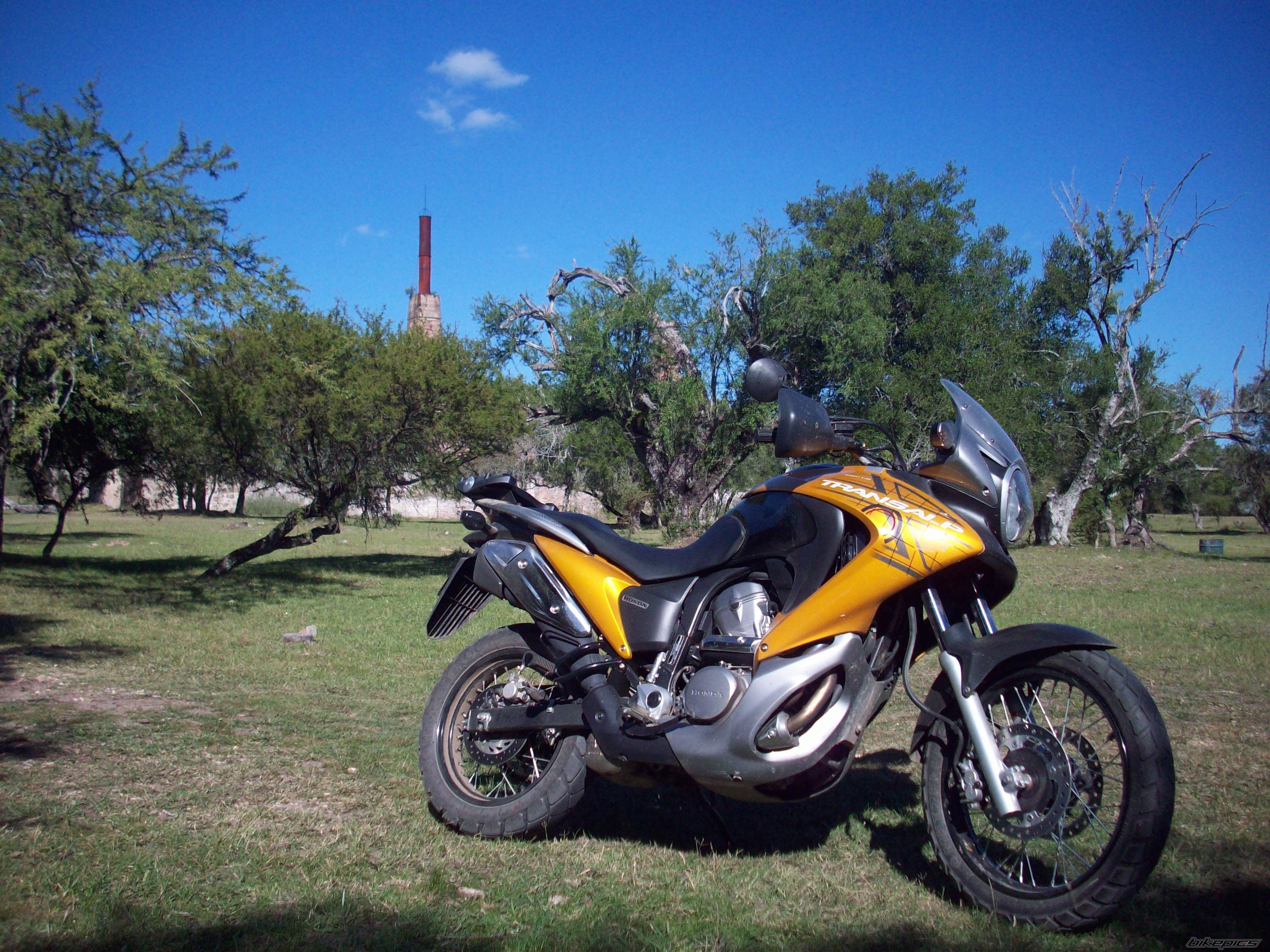 Photo 1657728