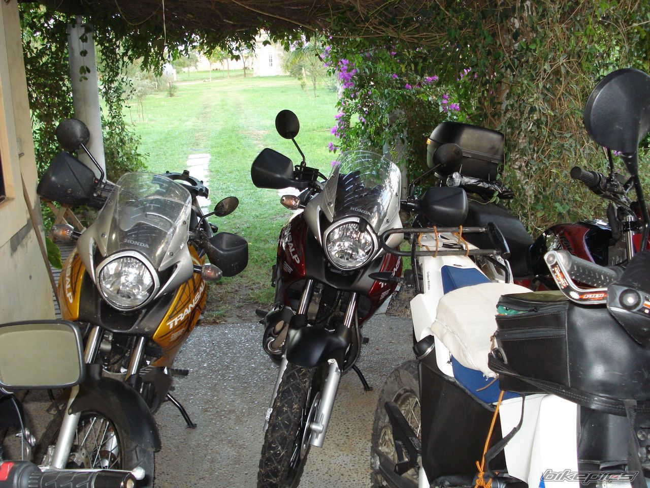 Photo 1657729