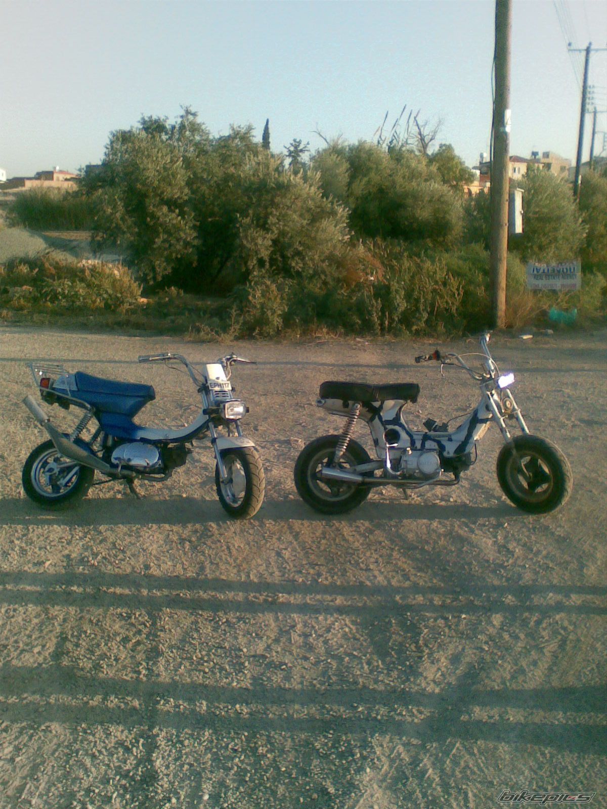 Photo 1657755