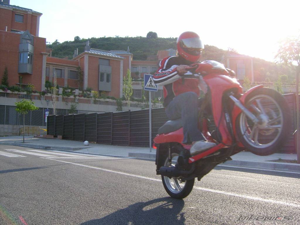 Photo 165782