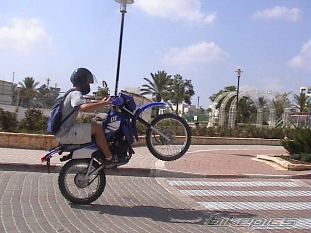 Photo 165817