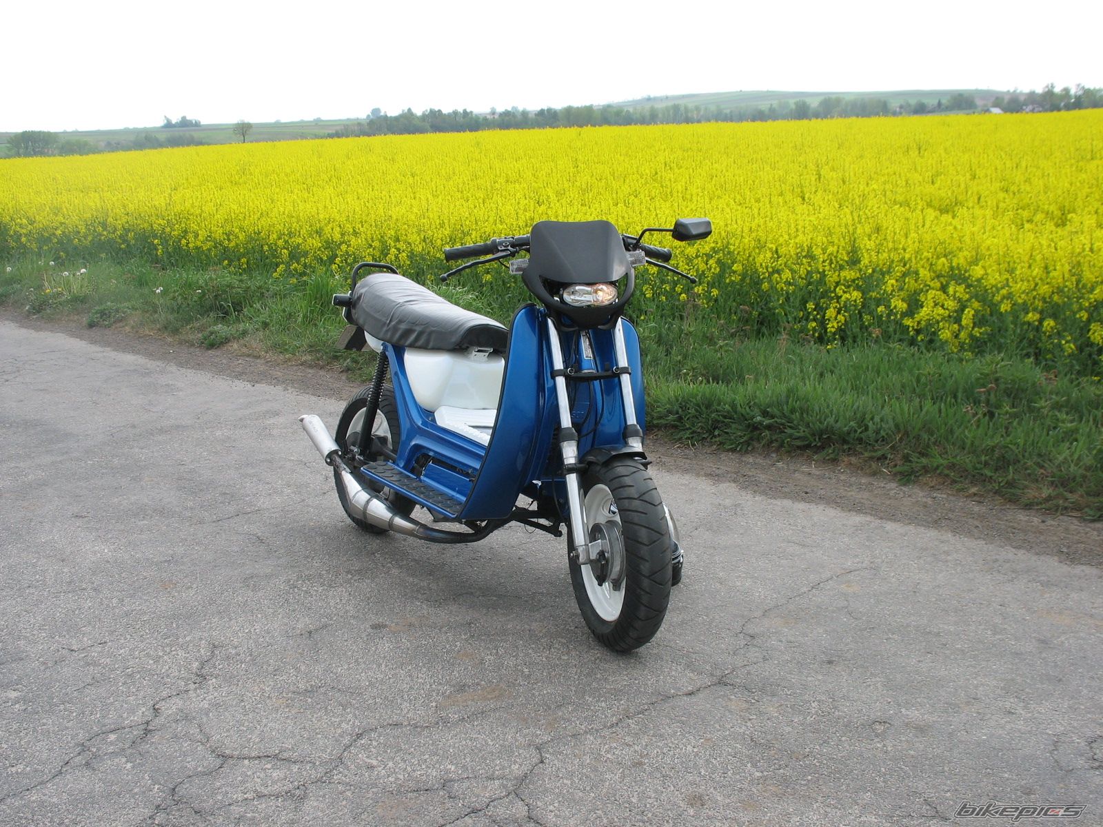 Photo 1658228
