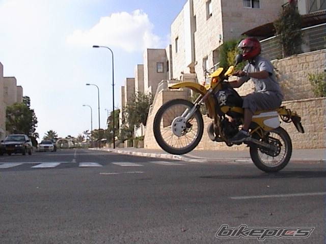 Photo 165826