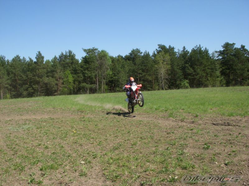 Photo 1658419