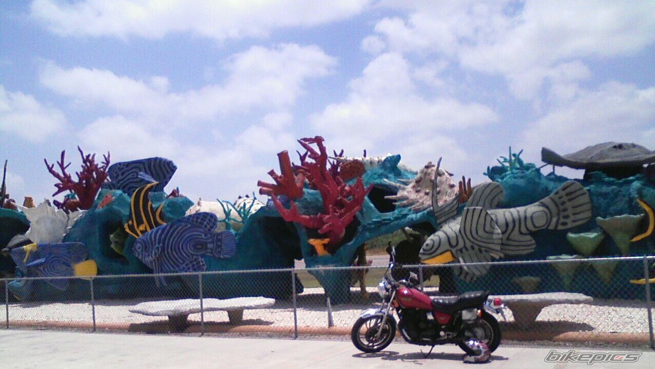 Photo 1658661