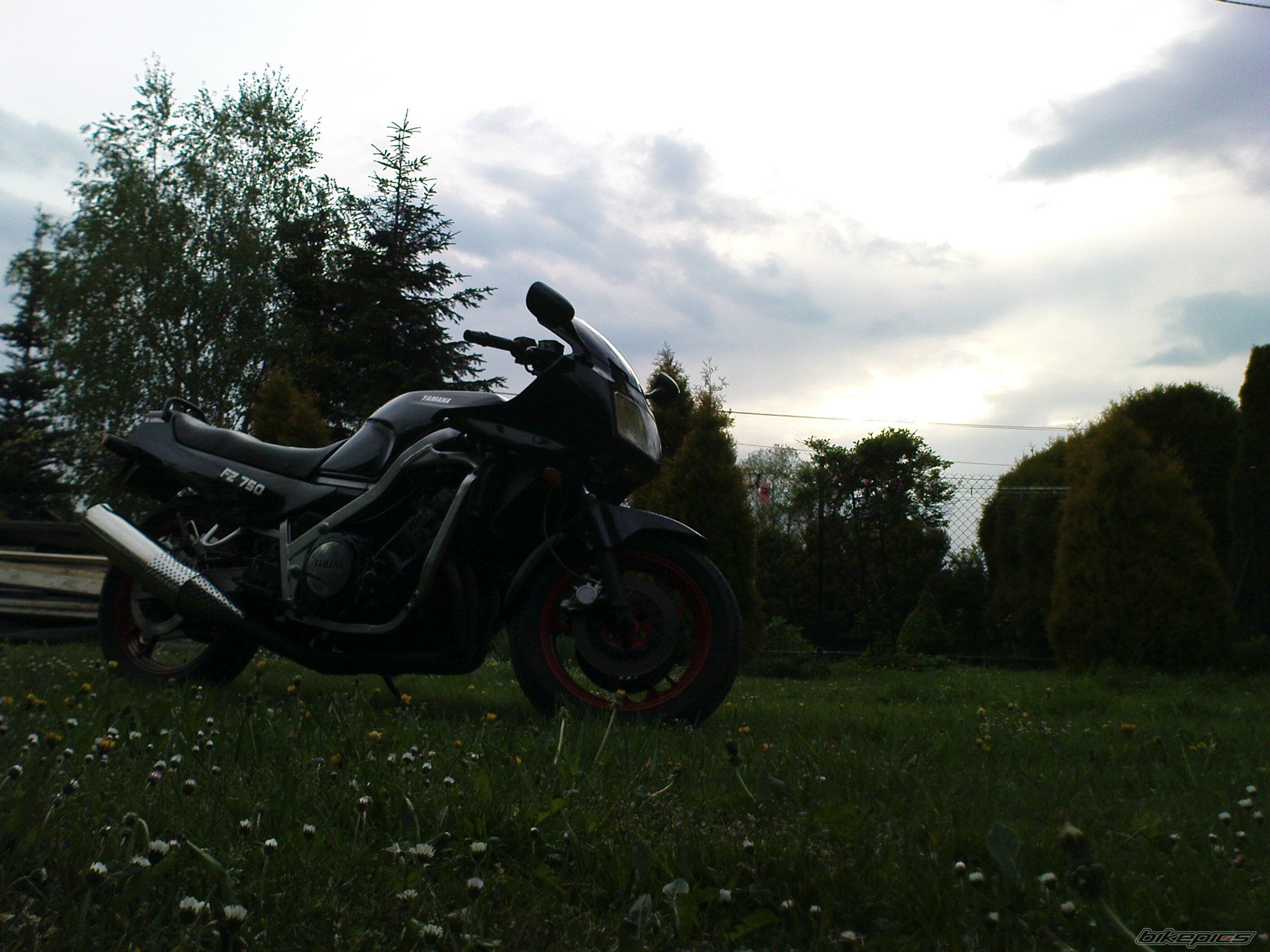 Photo 1658886