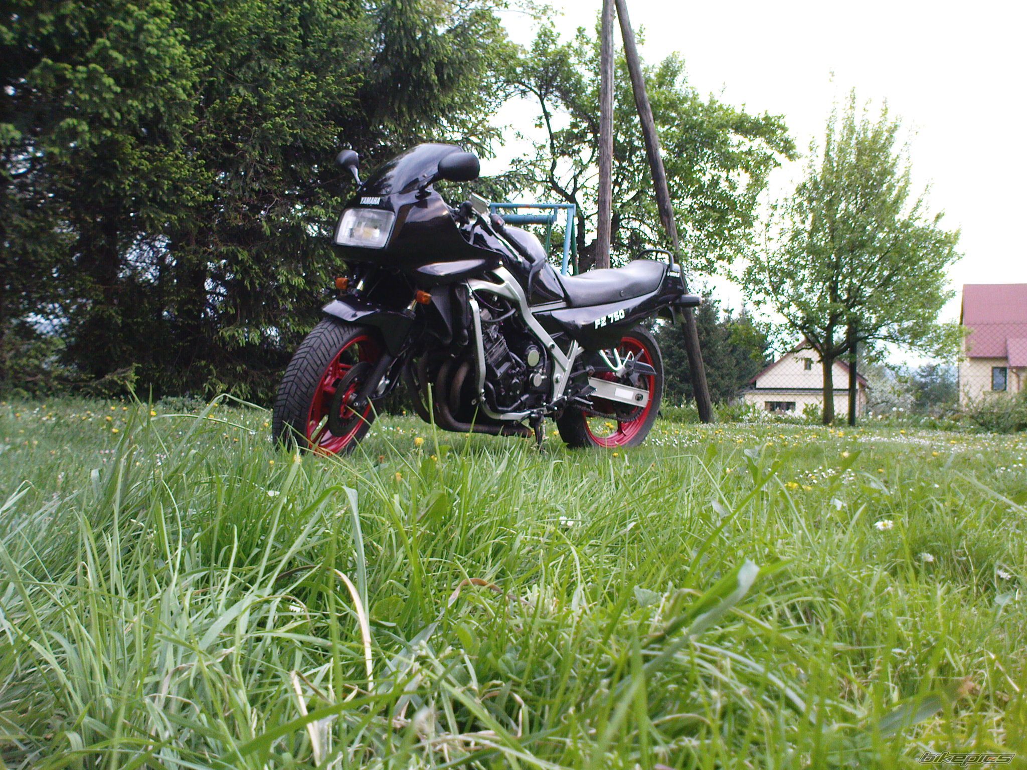 Photo 1658889
