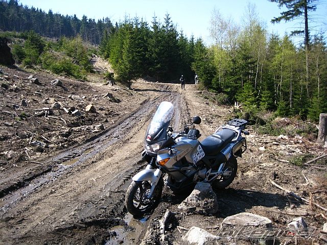 Bike Photo 1659290