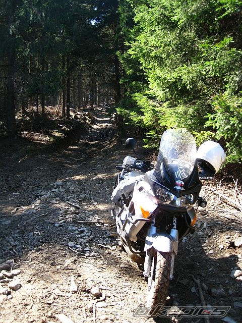 Bike Photo 1659292