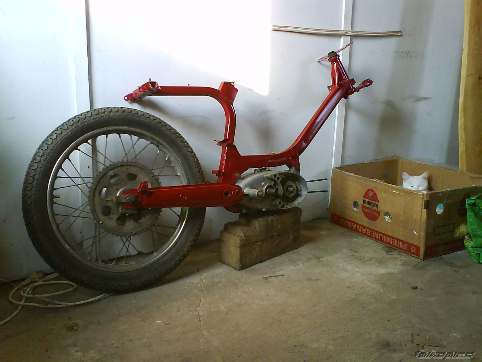 Photo 1659298