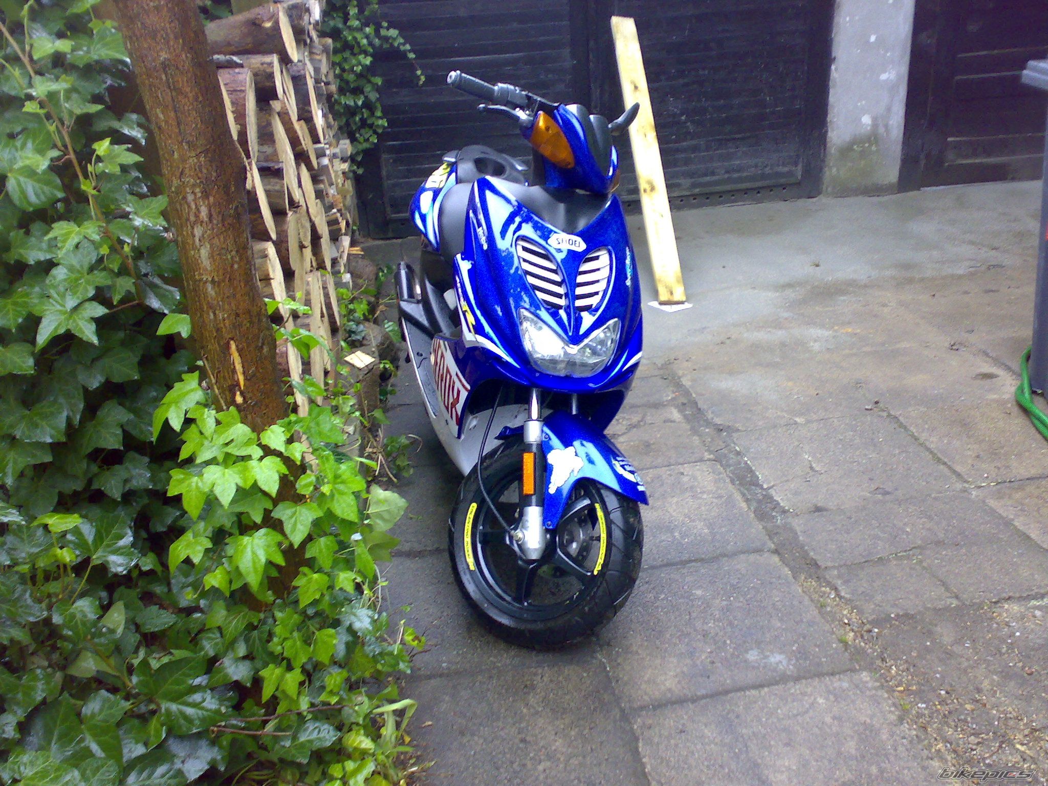Bike Photo 1659492