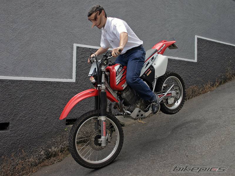 Photo 165952