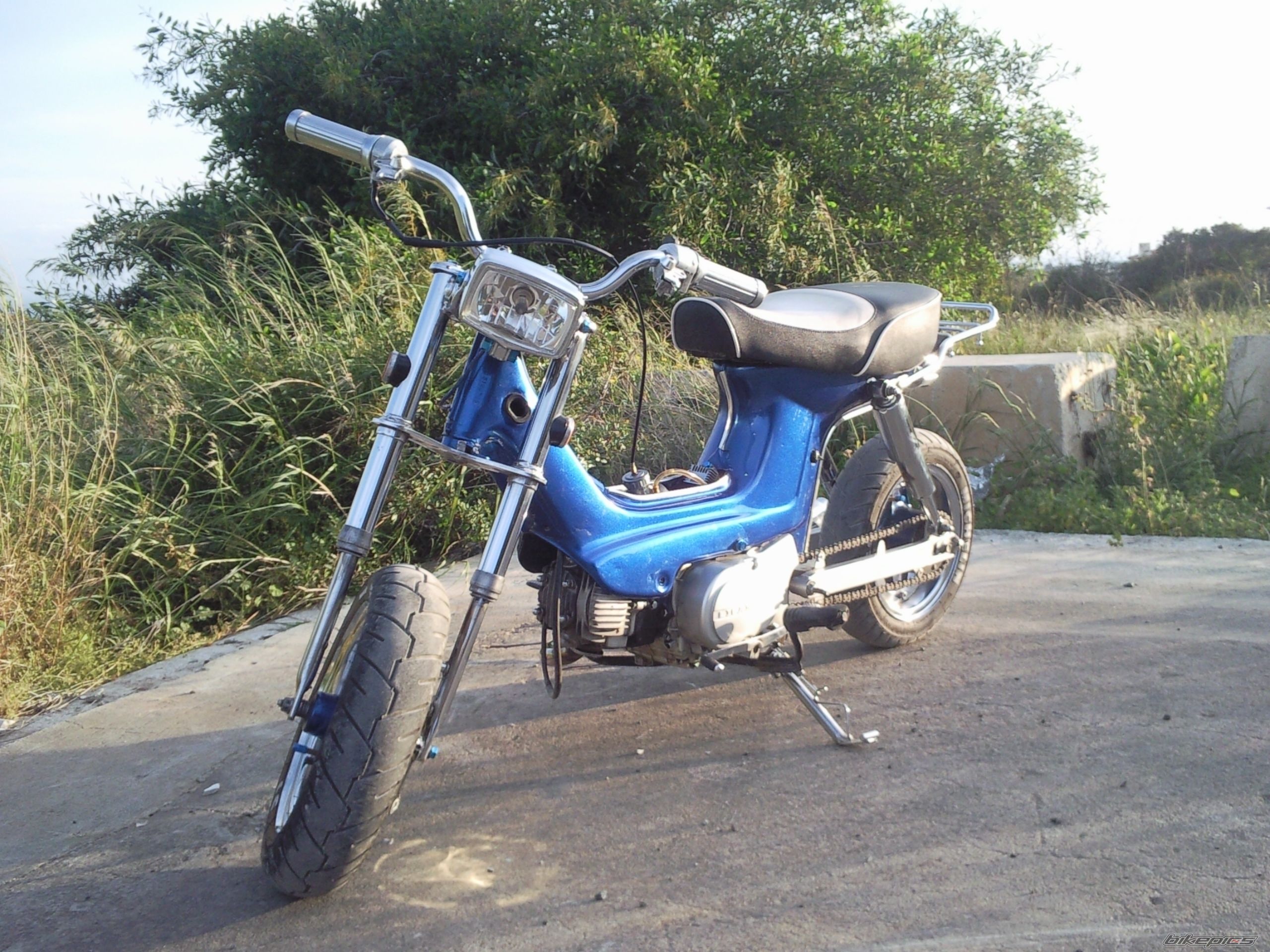 Photo 1659523