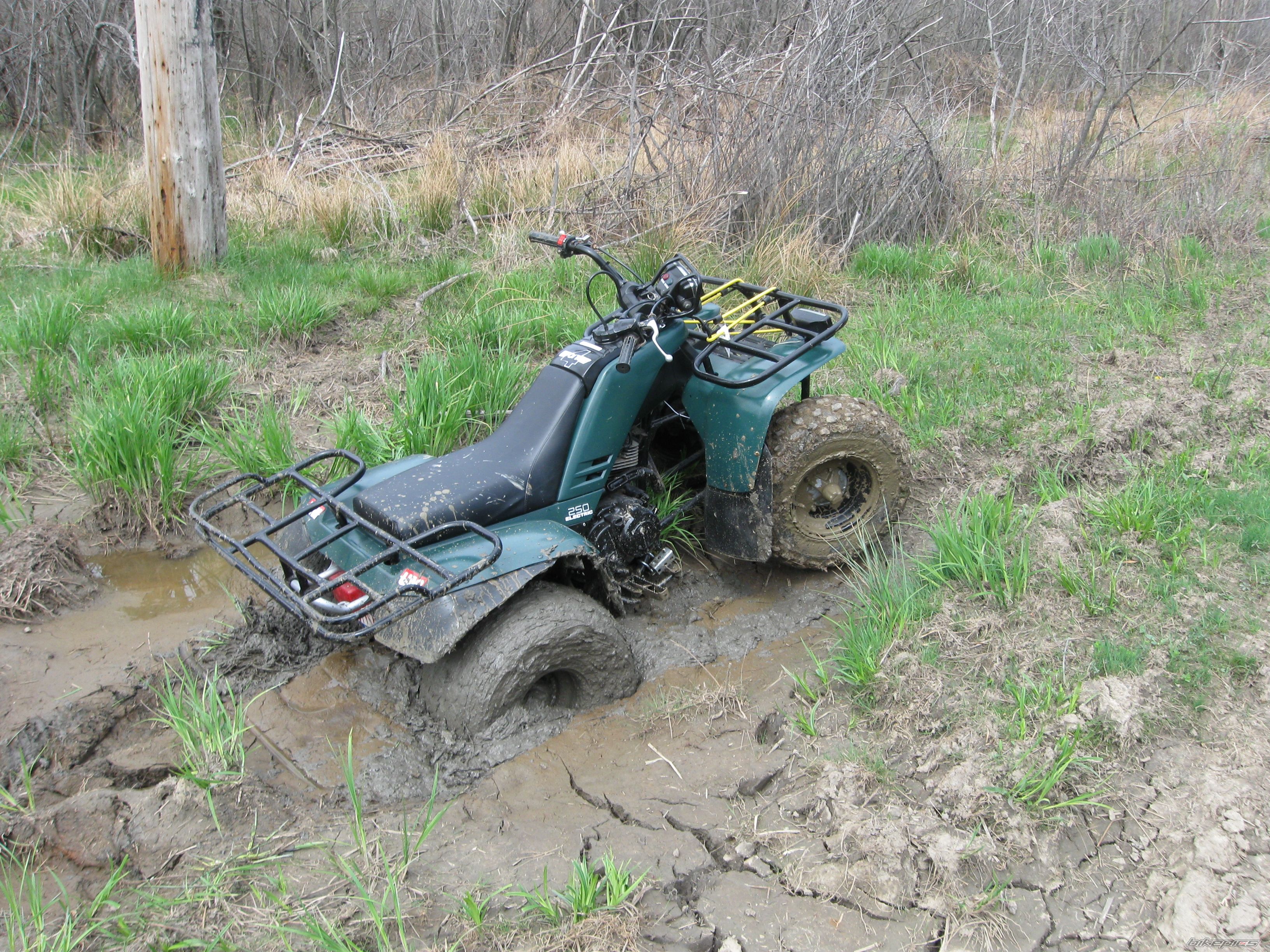 Photo 1659524