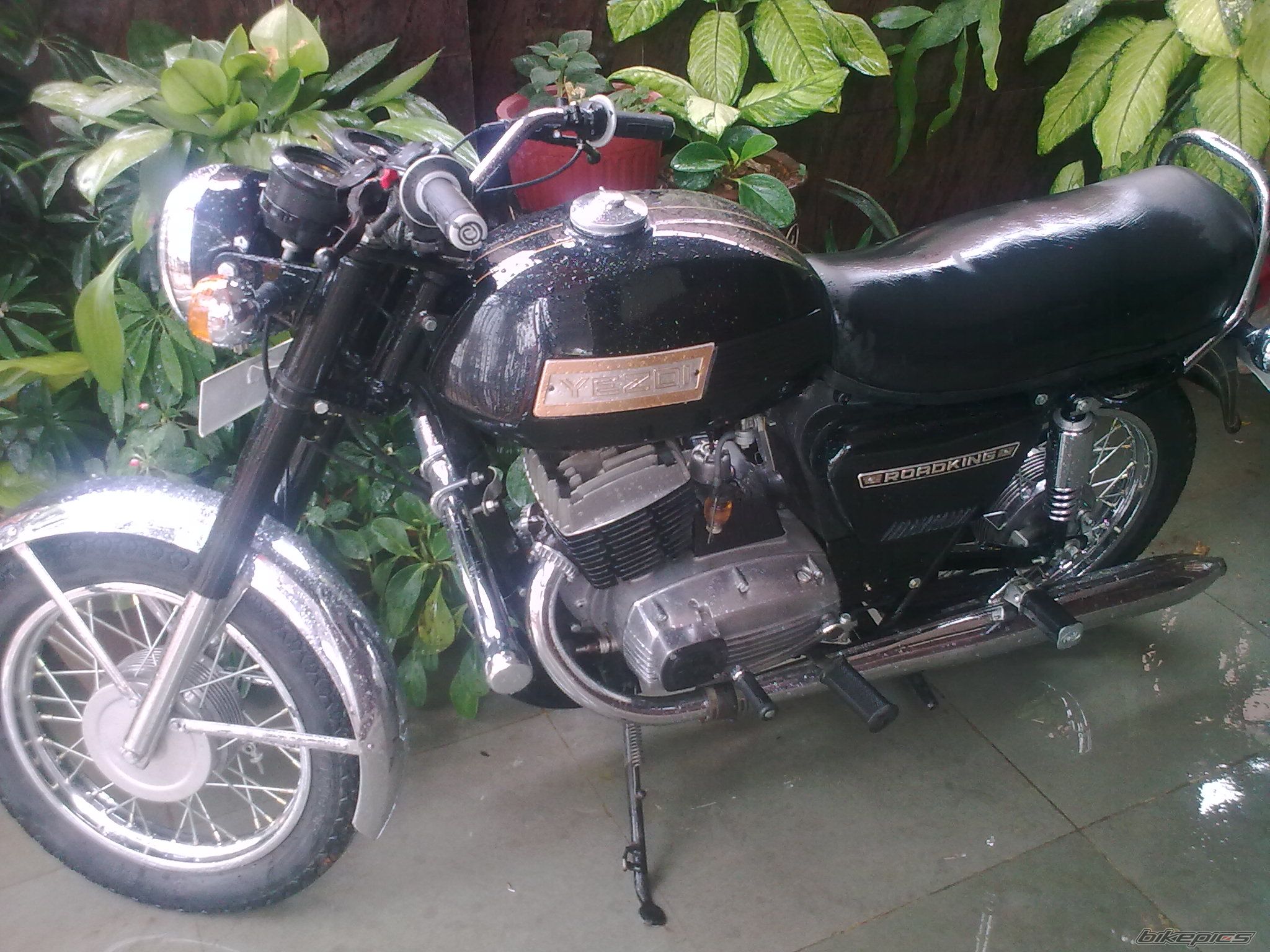 Photo 1659541