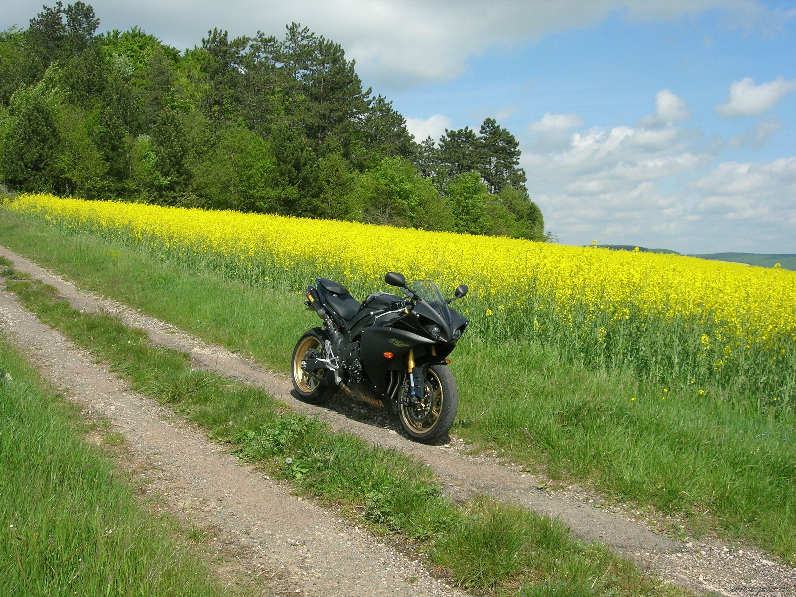 Bike Photo 1659756