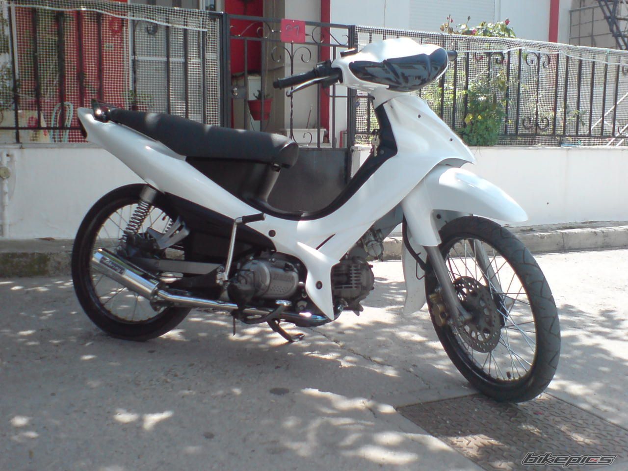 Photo 1659886