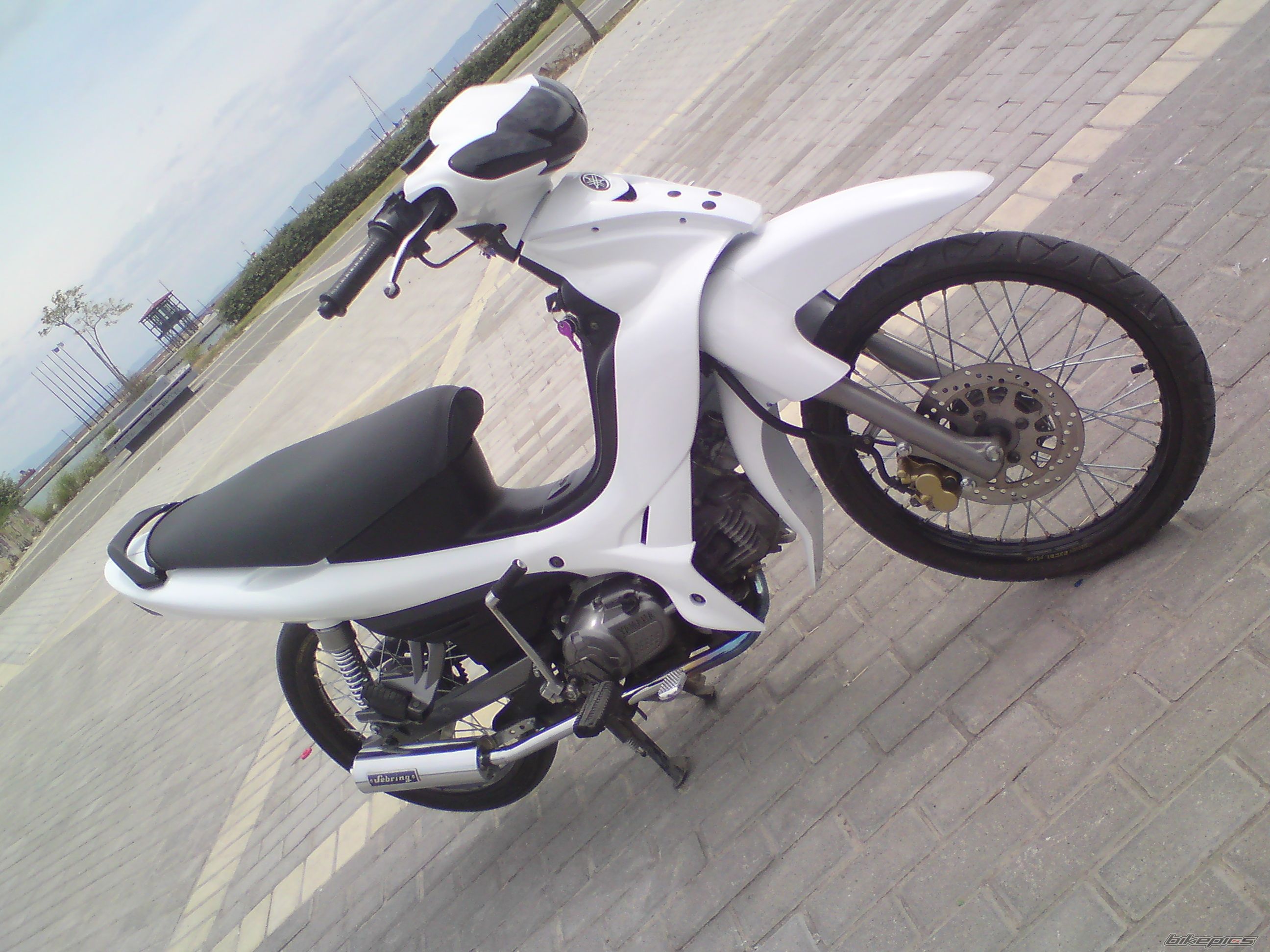 Photo 1659915