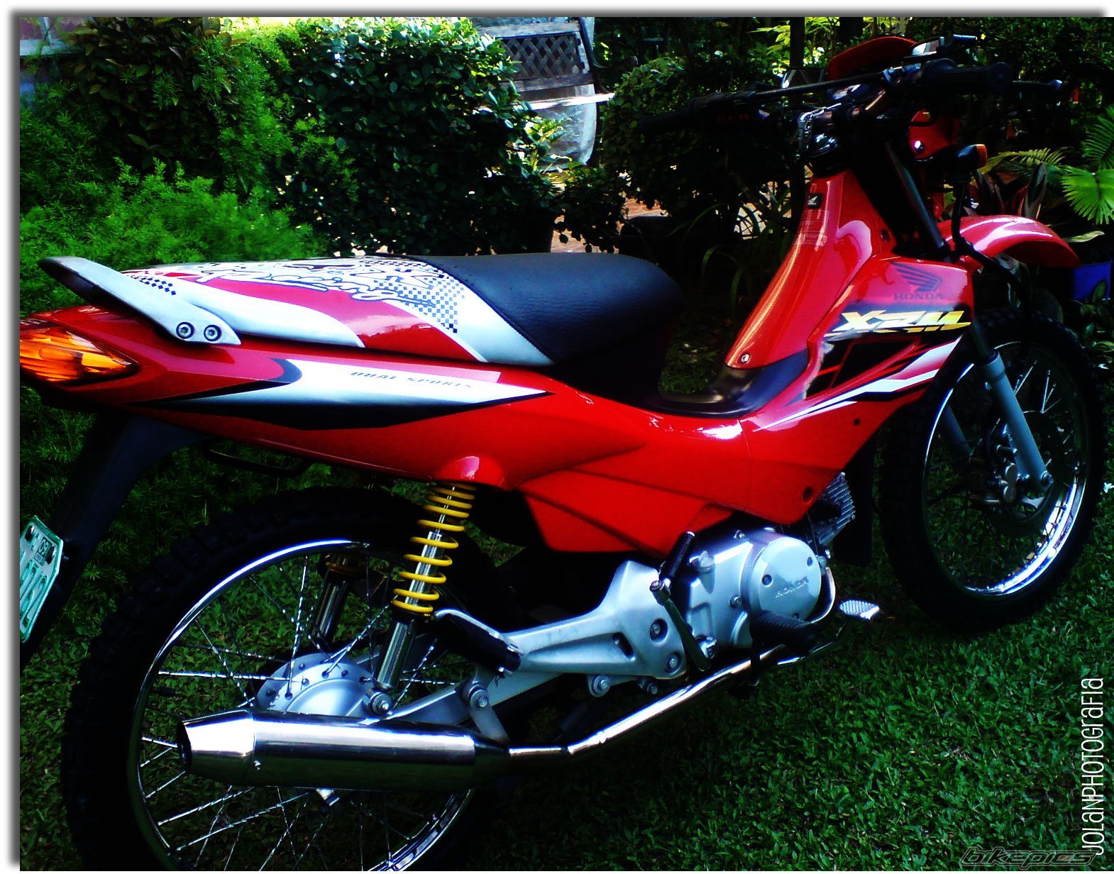 Photo 1659916