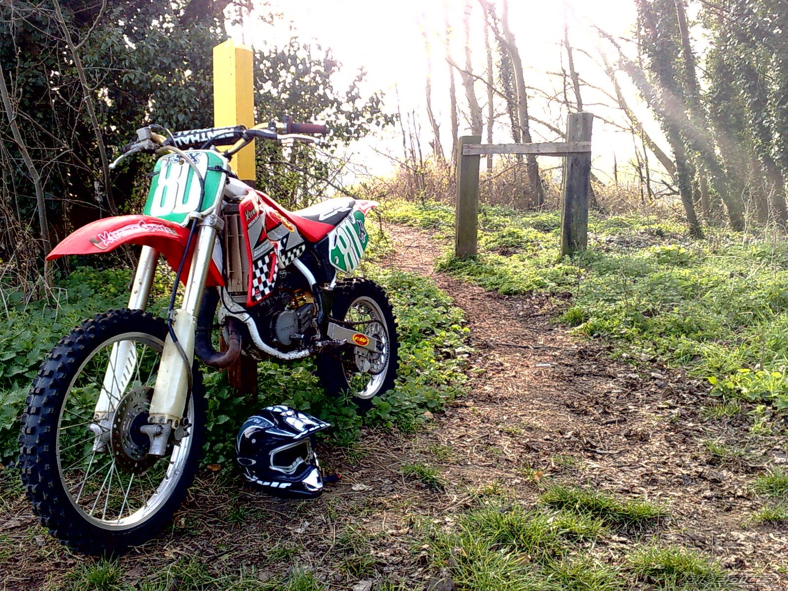 Photo 1659949