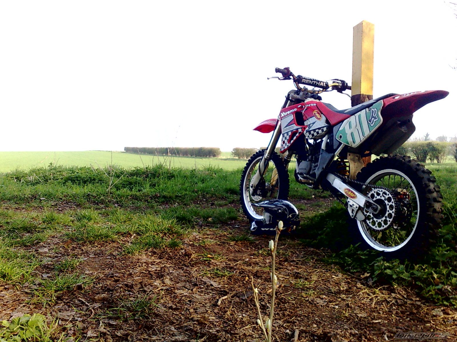Photo 1659950