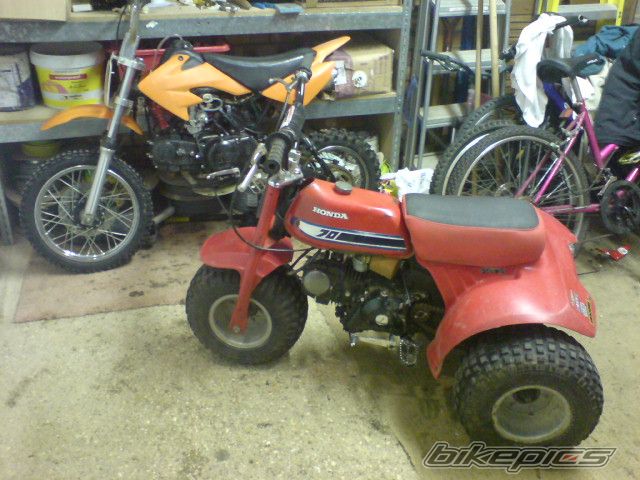 Photo 1659958