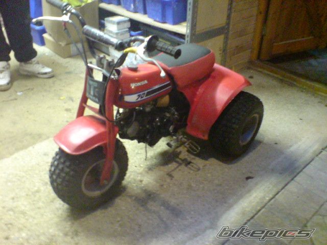 Photo 1659959