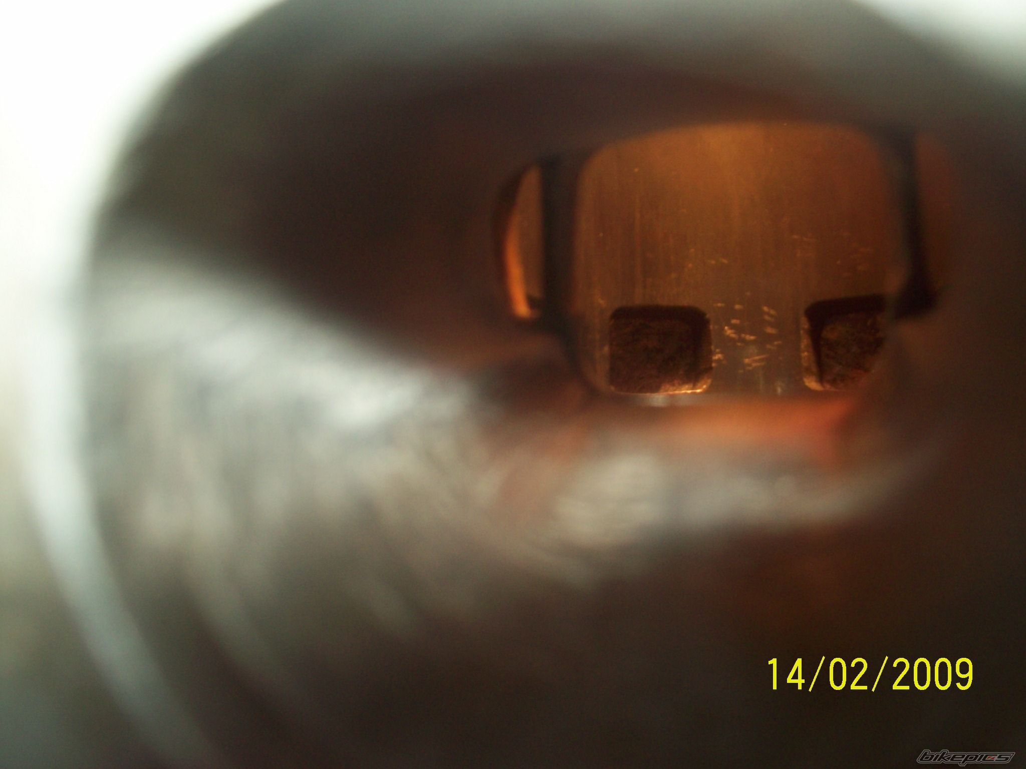 Photo 1659966
