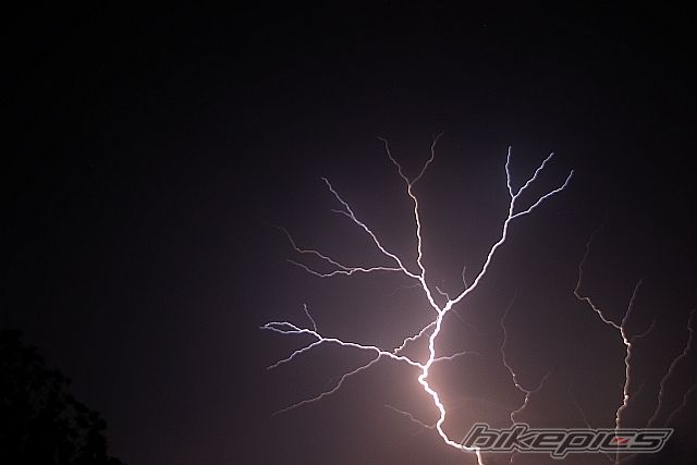 Photo 1660039