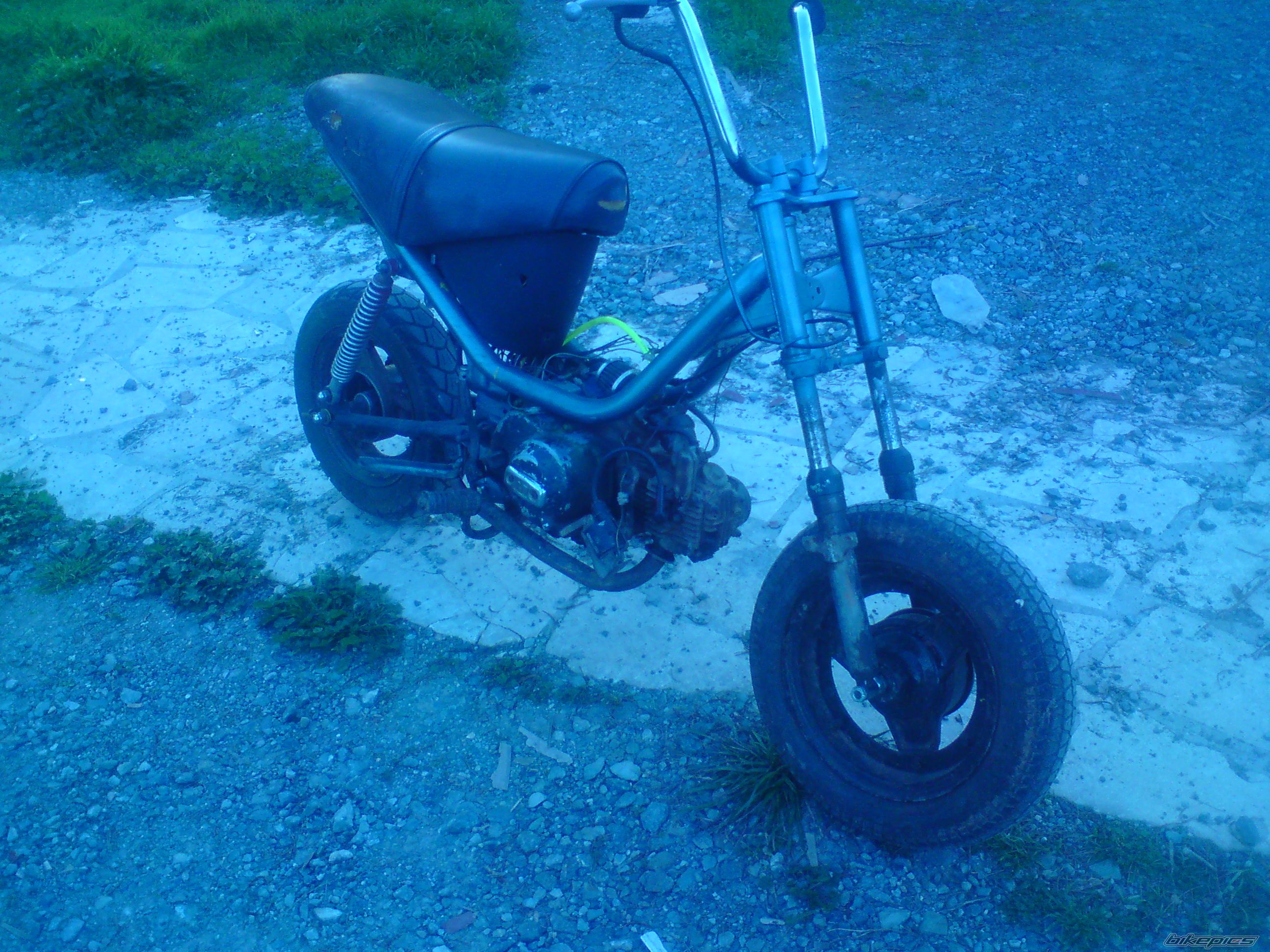 Photo 1660073
