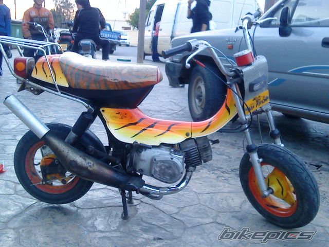 Photo 1660109