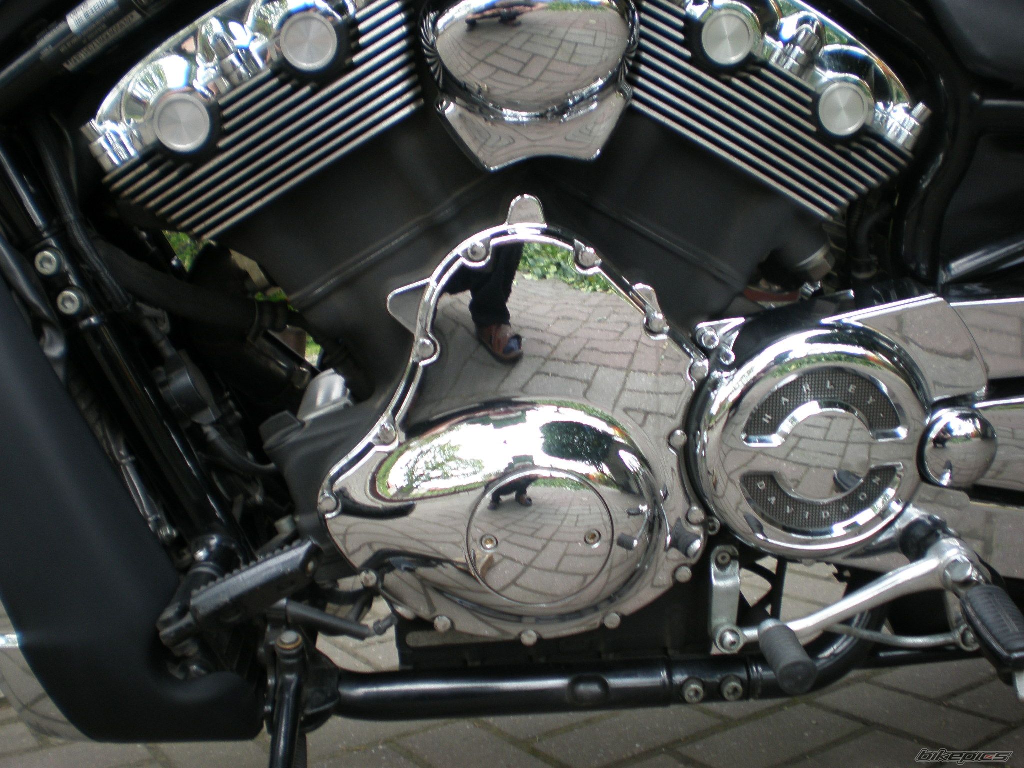 Photo 1660137