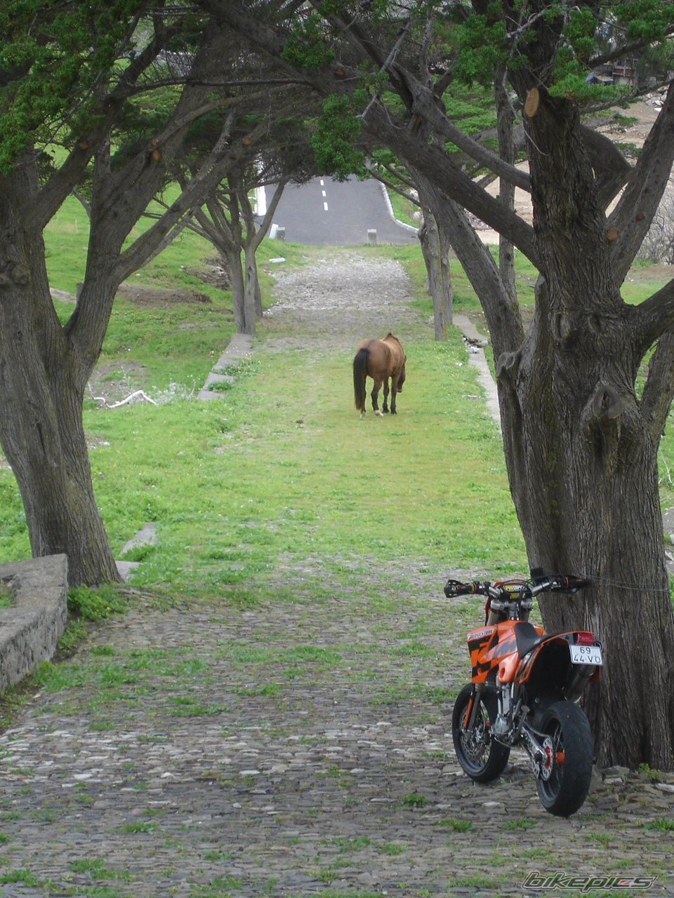 Bike Photo 1660144