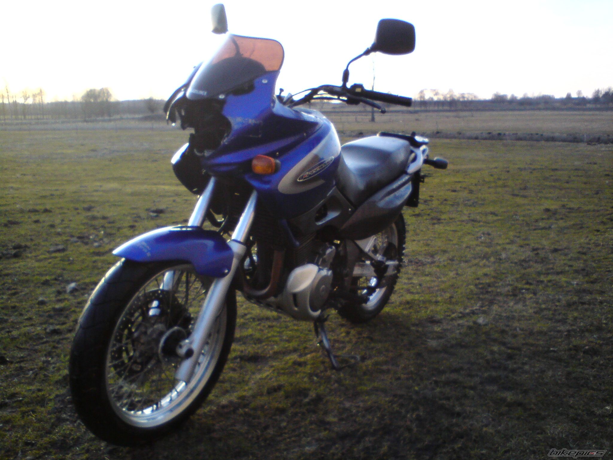 Photo 1660250