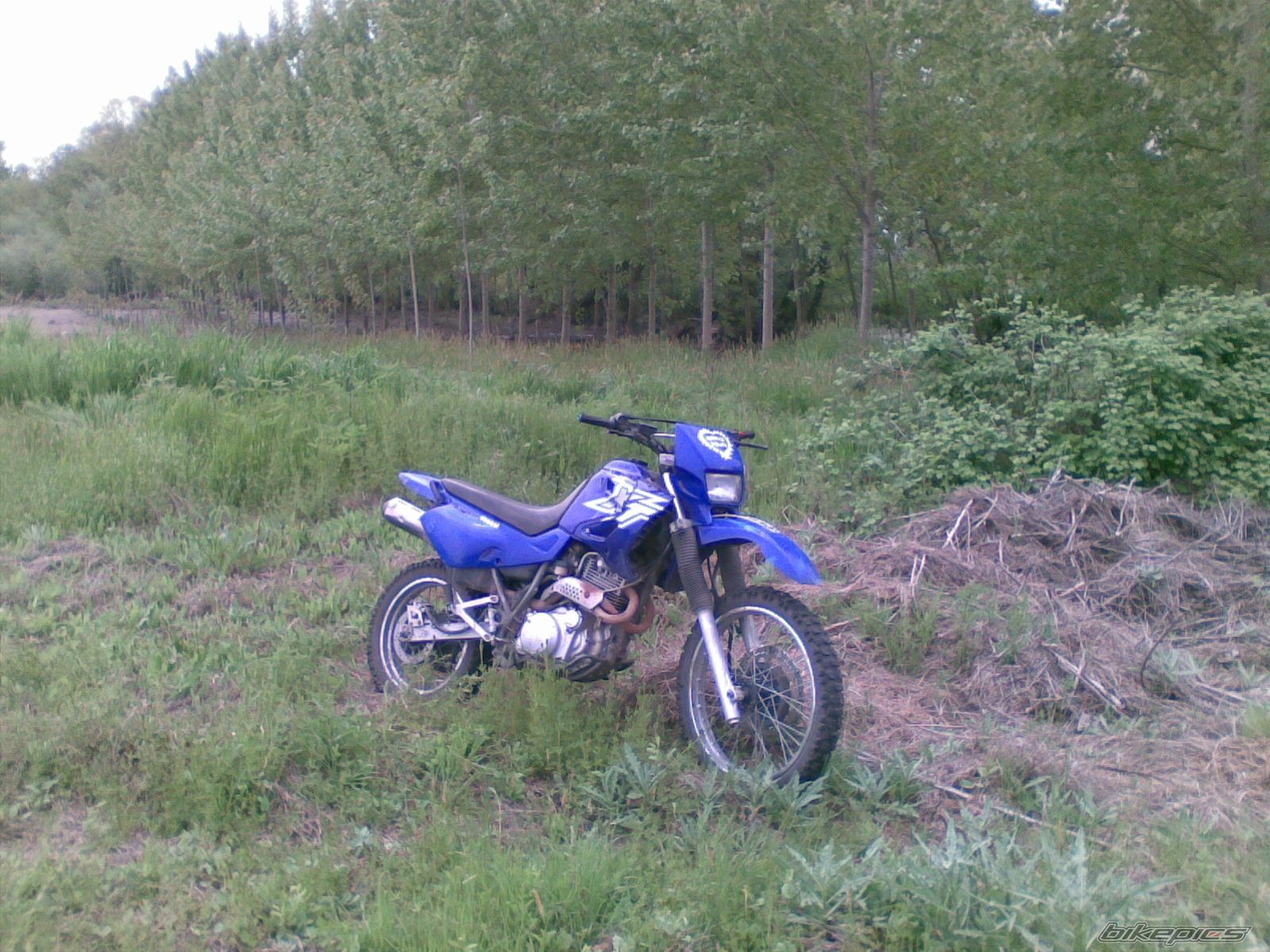 Photo 1660355