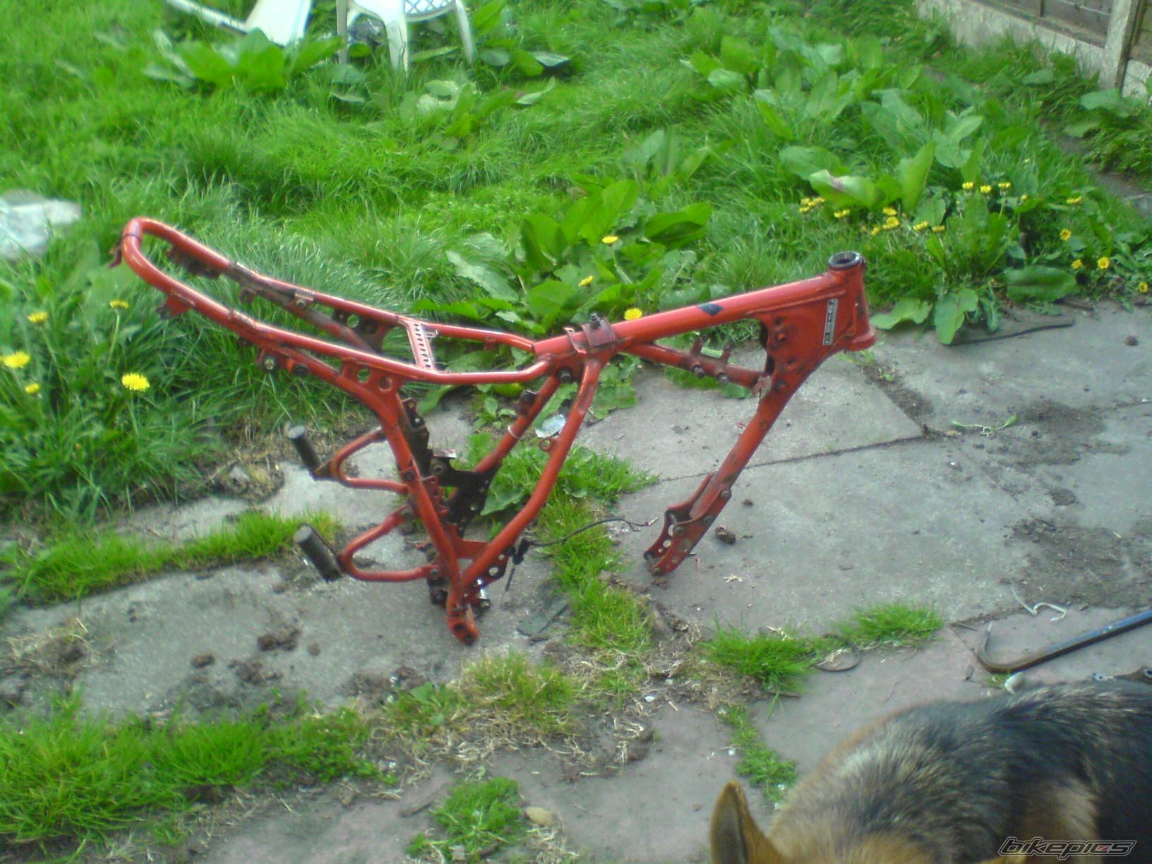 Photo 1660405
