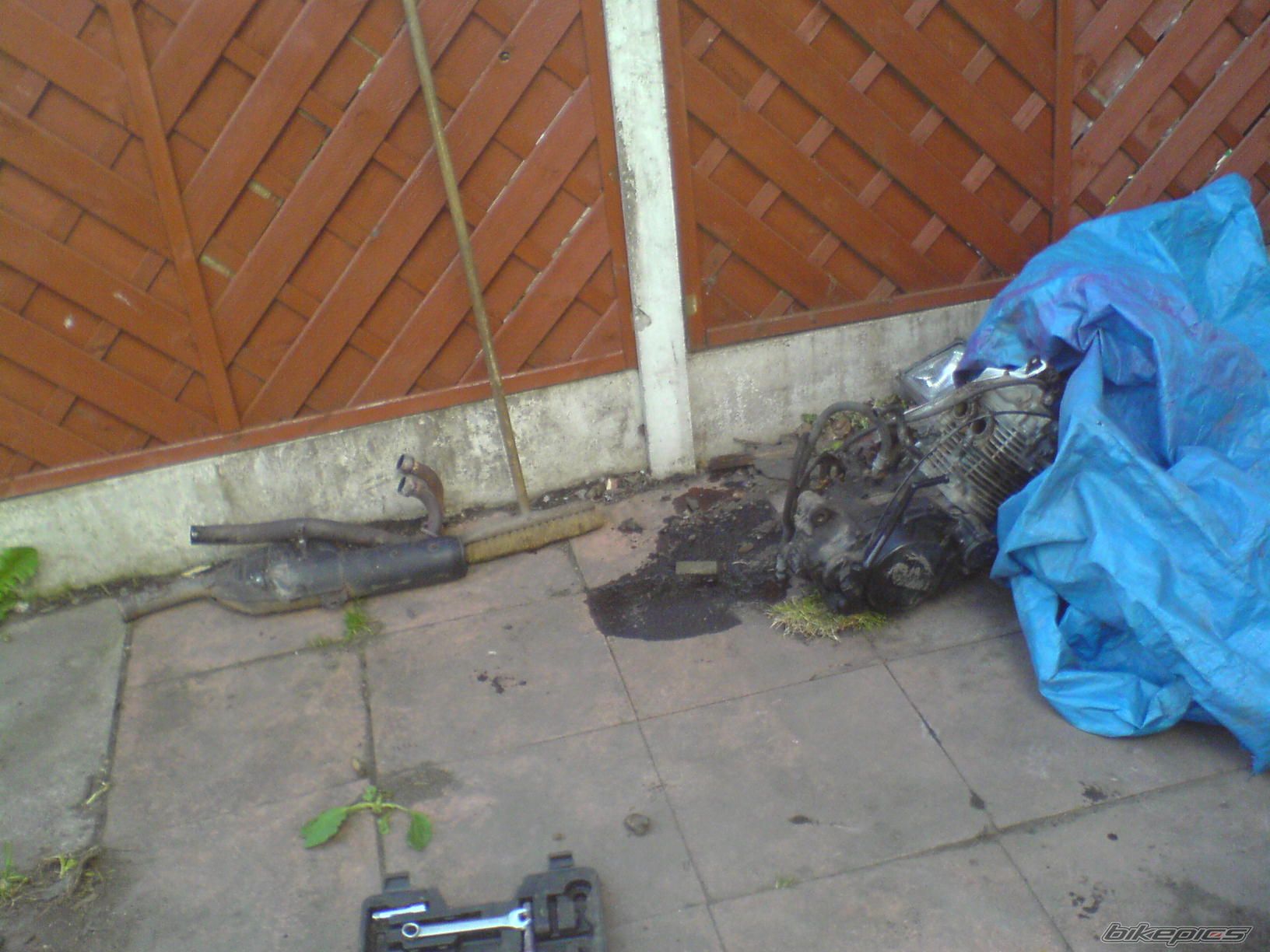 Photo 1660407