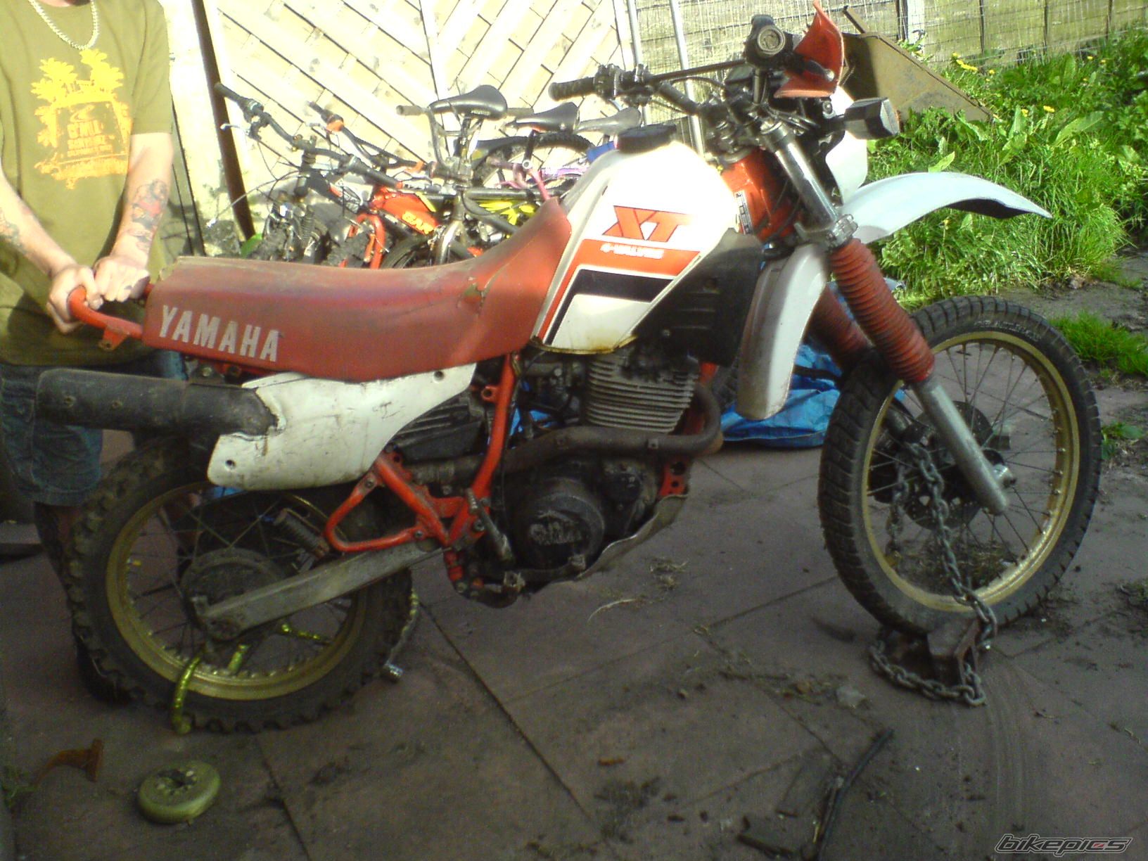 Photo 1660421