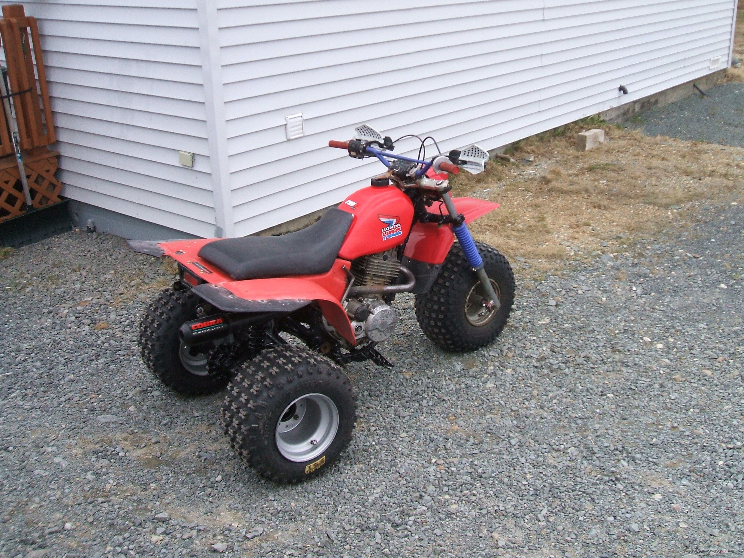 Photo 1660454