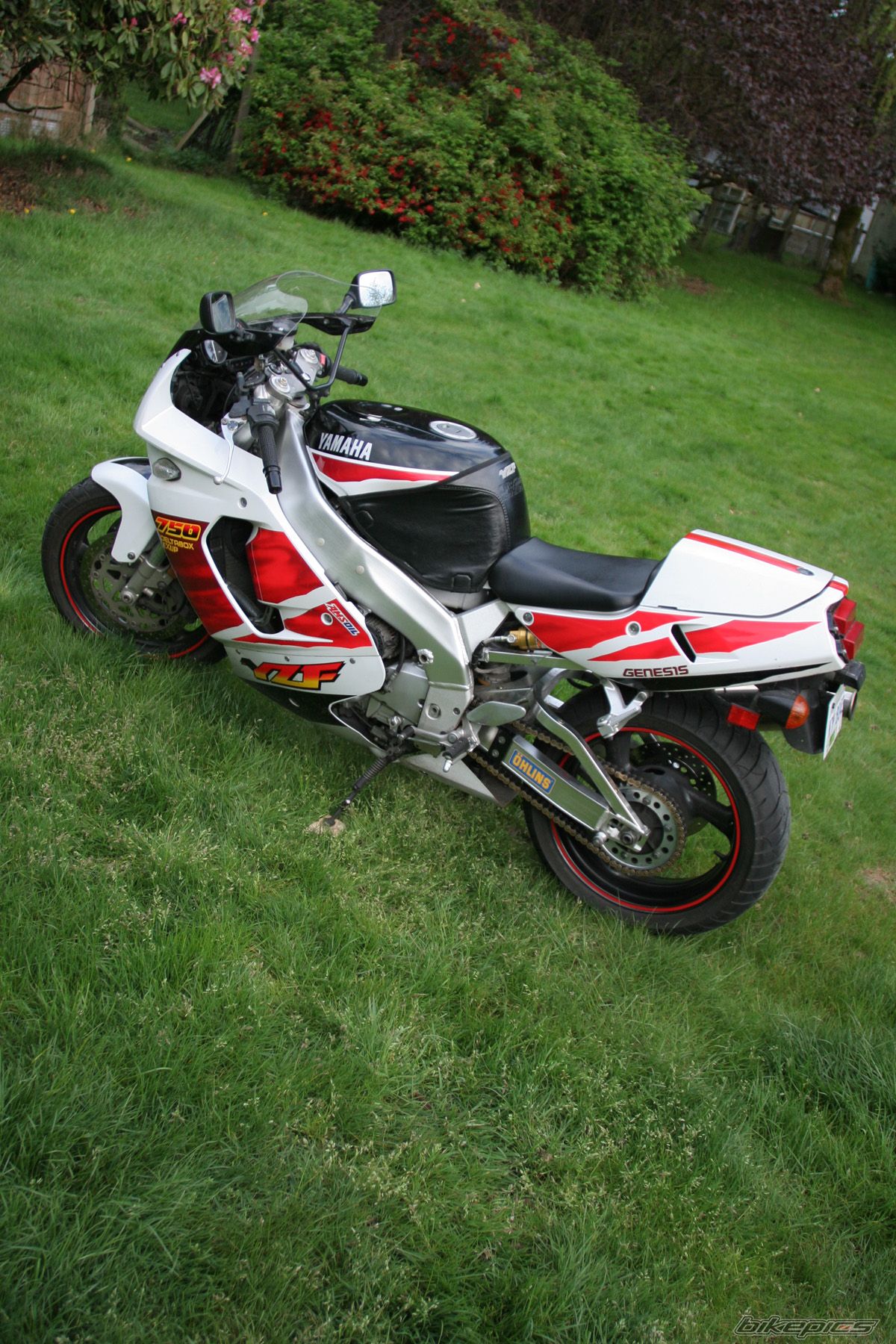 Photo 1660464