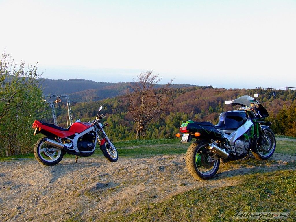 Photo 1660661