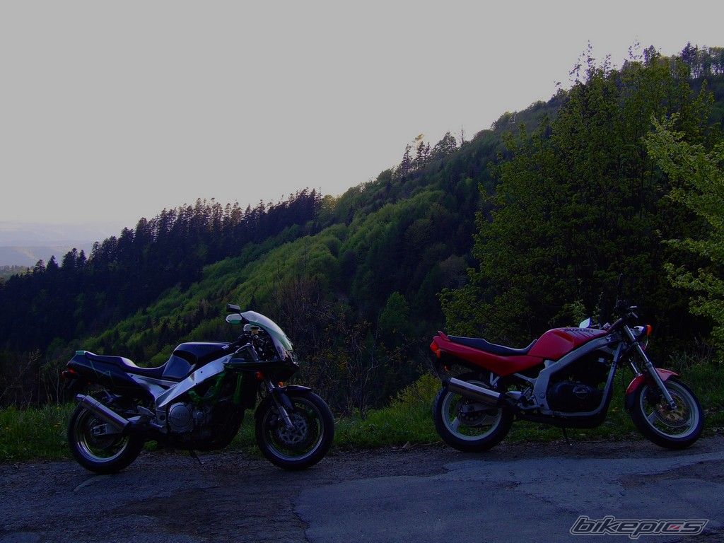 Photo 1660664
