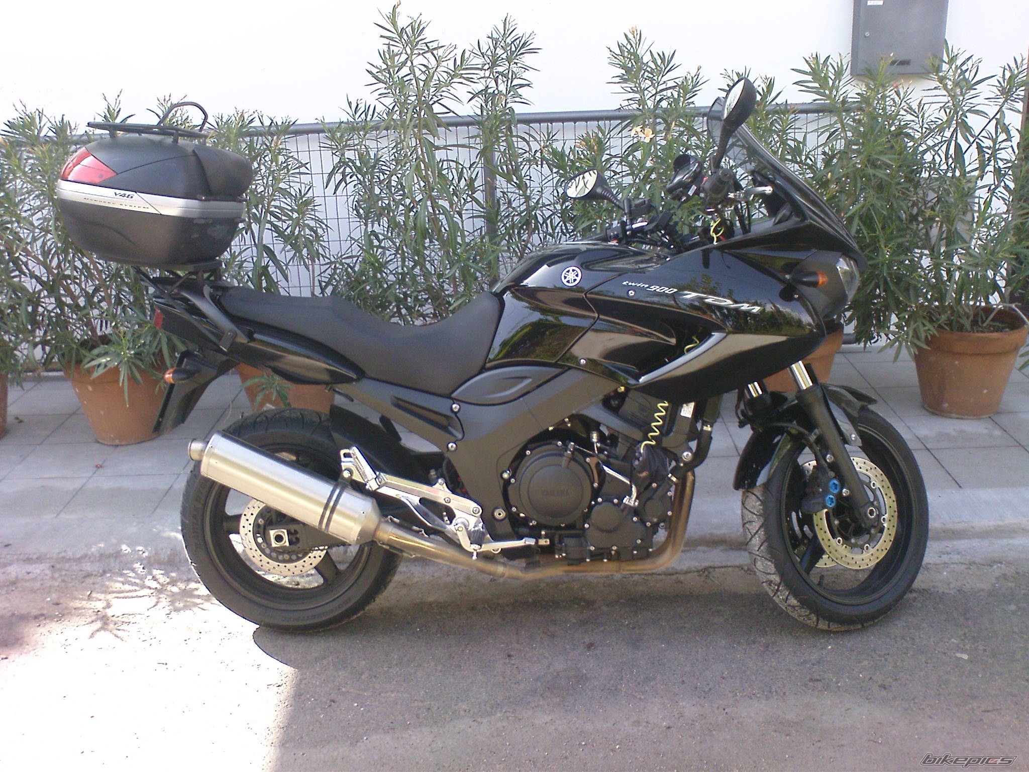 Photo 1660666
