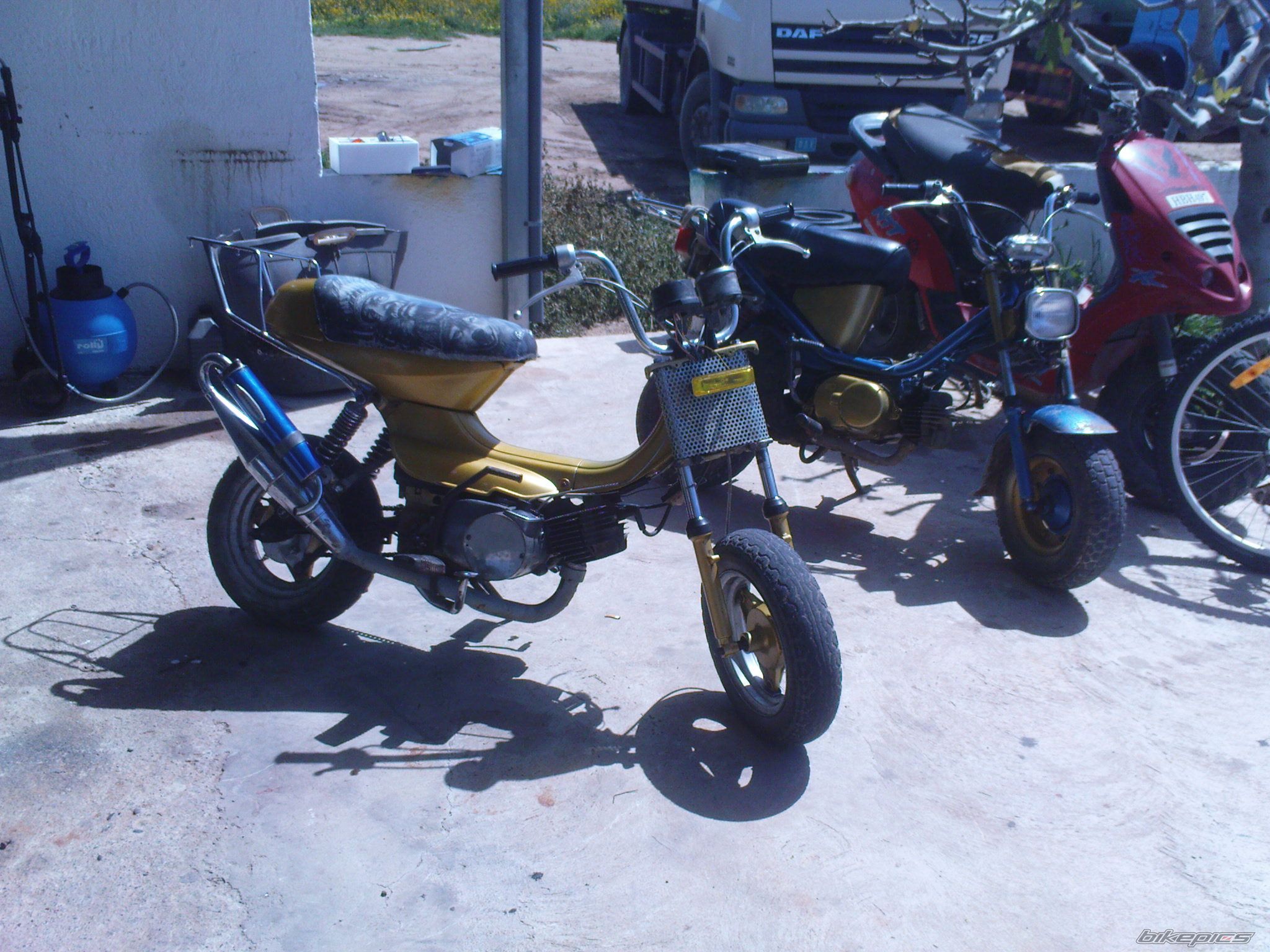 Photo 1660842