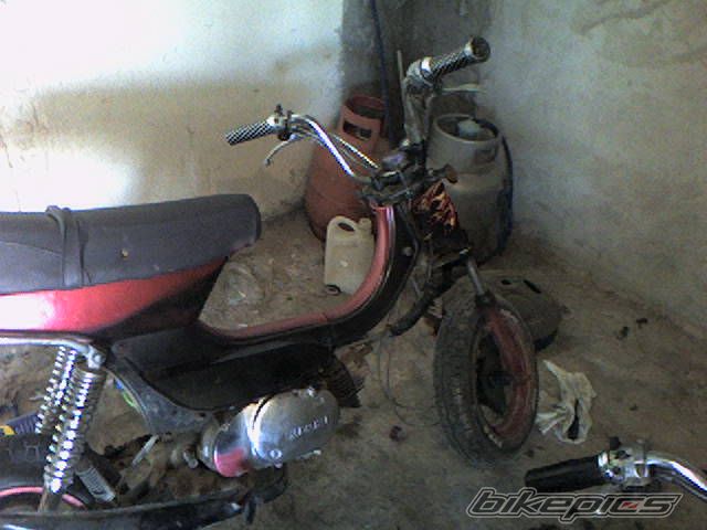 Photo 1660868