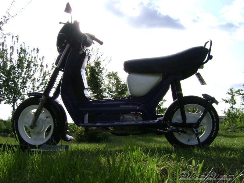 Photo 1660964