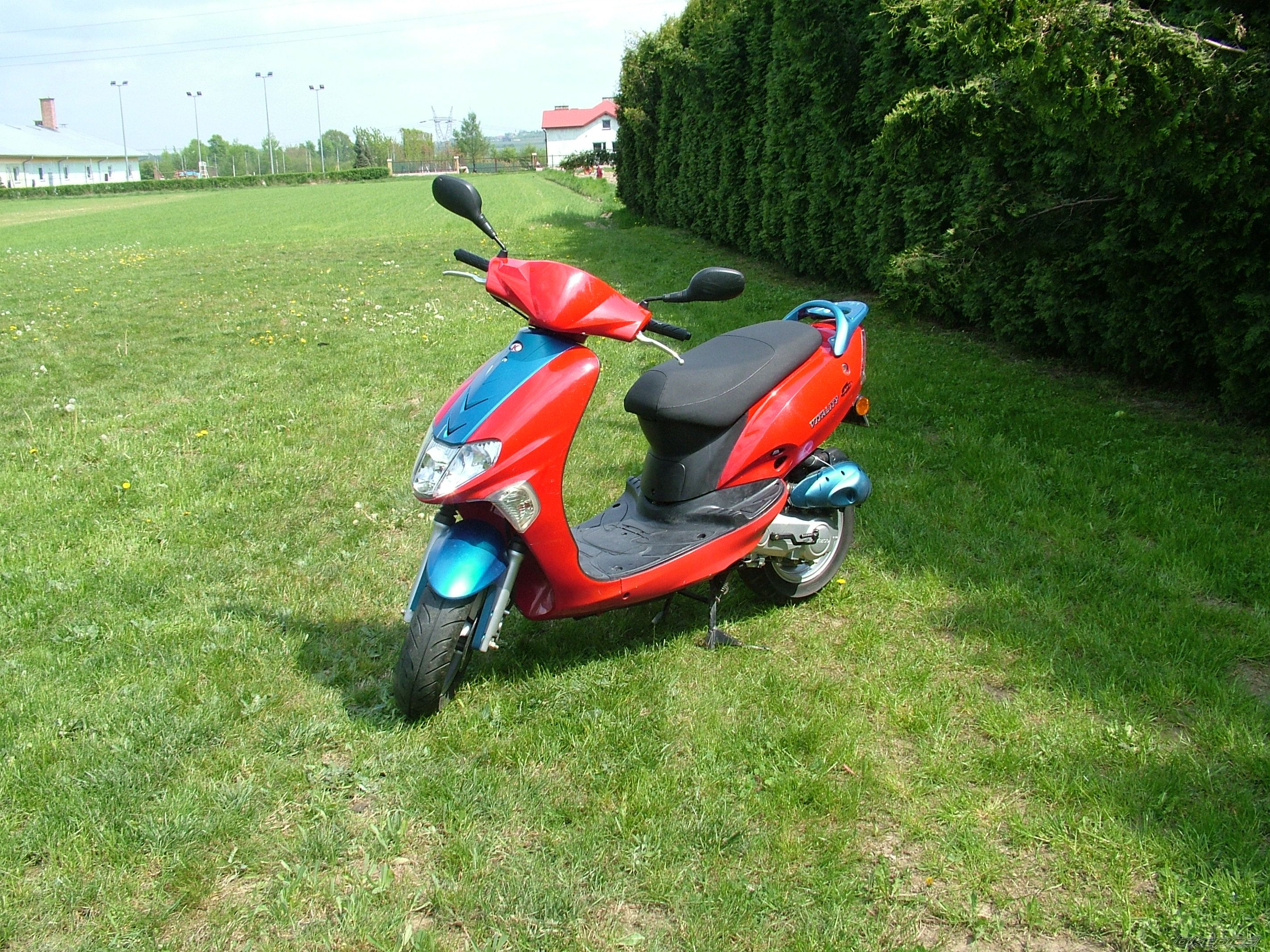 Photo 1661233